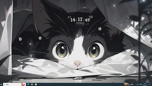 黑白小猫