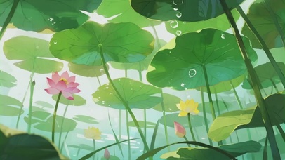 治愈感清凉荷花景色