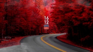 枫叶 枫树 红色 血色 枫