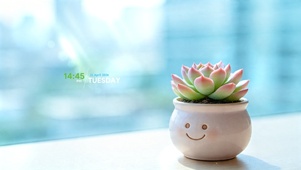 清新可爱 幸运多肉小盆栽~