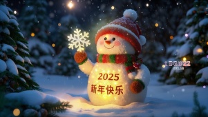 2025小雪人