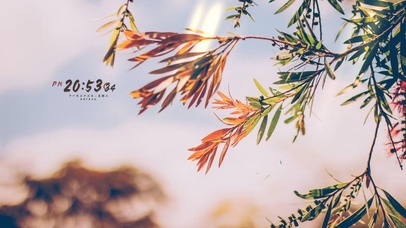 4k治愈风景桌面