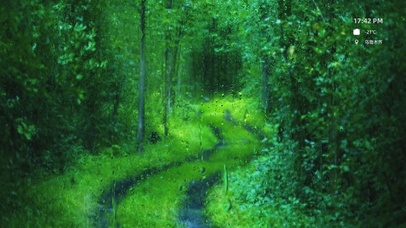 森林小路雨
