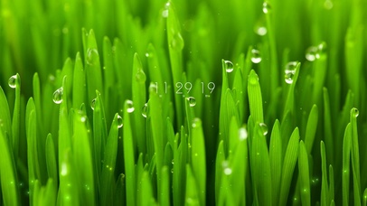 护眼绿色小麦草