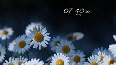 4k高清唯美花系列