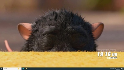 可爱小萌宠桌面主题