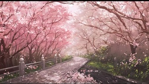 樱花小道
