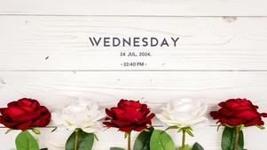 4k简约小清新桌面