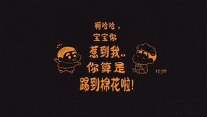 棉花小新