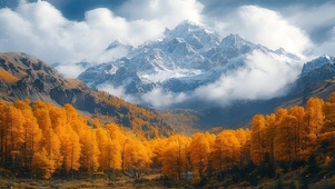 雪山橙色树林