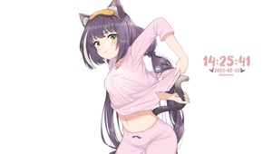 傲娇少女猫娘