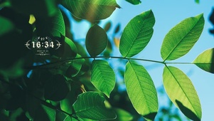 4k高清护眼风景系列