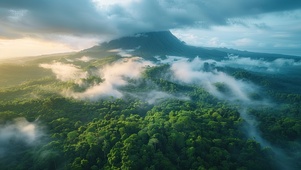 俯瞰火山岛森林
