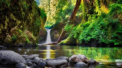 山林仙境(带溪水鸟声)