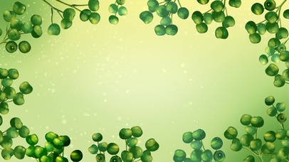 青果梦境（护眼壁纸）