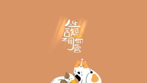 励志的猫猫