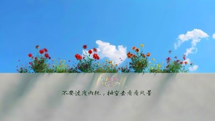 院墙上的鲜花