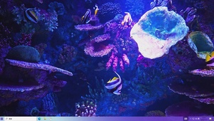 蝴蝶鱼水族馆主题