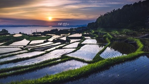 4K唯美治愈夕阳梯田海景