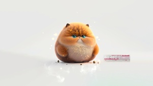 4K  呆萌小猫咪