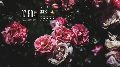 4k清新唯美花桌面