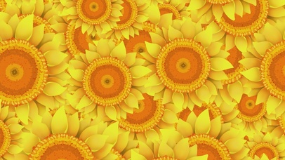 动态向日葵旋转