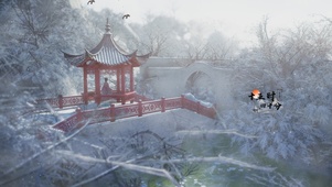 北方雪