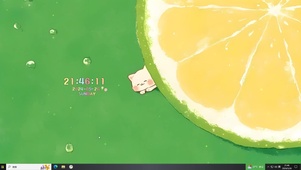 清新夏日猫咪