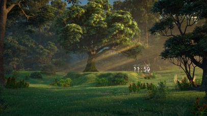 4K唯美治愈绿叶森林