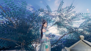 剑网三毒姐