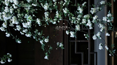 4k 治愈唯美清新小院落花