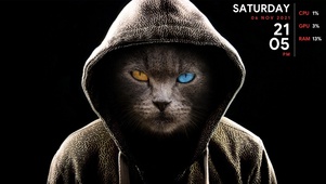 卧底猫