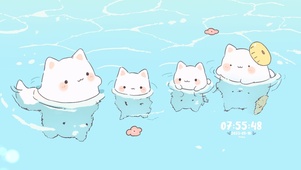 小猫 夏日 泳池