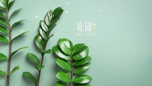 简约系绿植壁纸