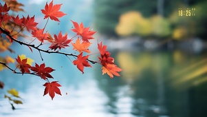 江边枫叶