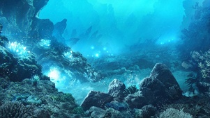 海底荧光