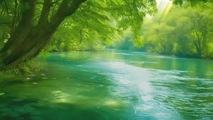绿色河流