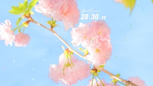 蓝天下治愈清新鲜花