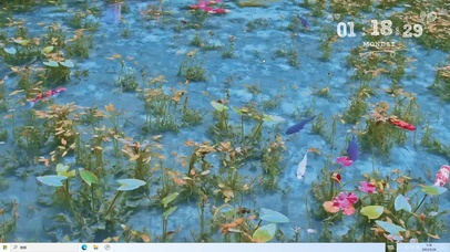 清澈小潭 好运锦鲤 小鱼 荷花