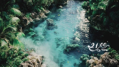 绿色护眼清新壁纸