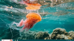 海底—【主题桌面】