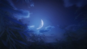 暗夜刺客凌雪阁