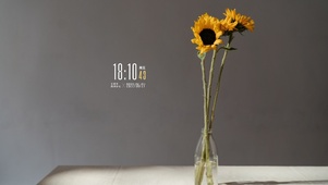 4k高清简约玻璃小向日葵