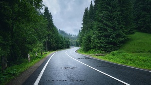 雨天森林公路