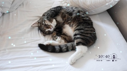 碎觉觉的喵喵 点赞关注好运连连