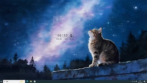 治愈星空猫咪