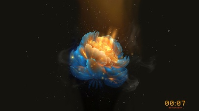 4K情有独钟（好运莲）