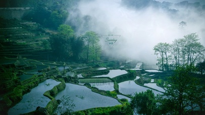 护眼绿色云南梯田