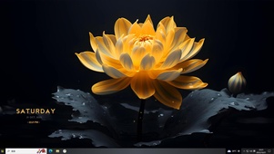 金色莲花  