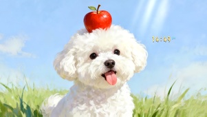 可爱比熊犬